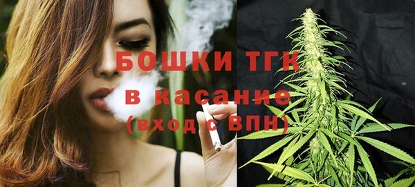 индика Абинск