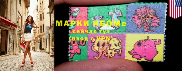 индика Абинск