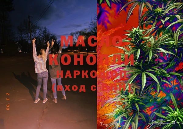 индика Абинск