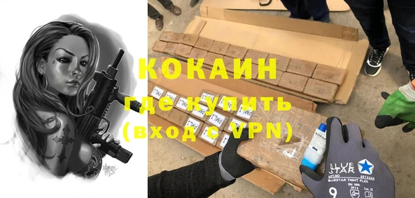 индика Абинск